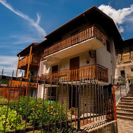 Il Bosco Dei 100 Acri Roncobello