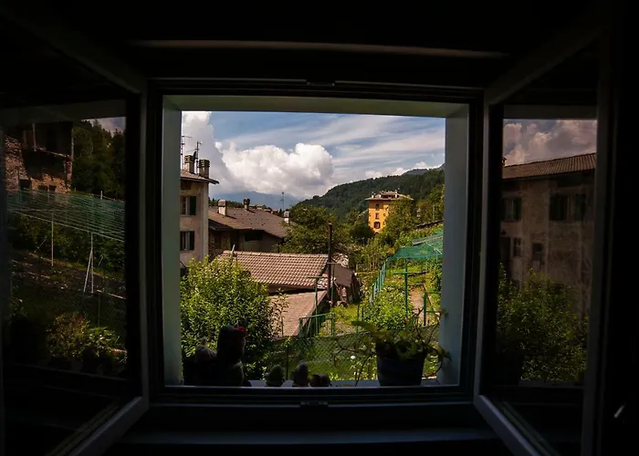 Il Bosco Dei 100 Acri 3*